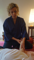 https://www.georgiafarrant.net/files/gimgs/th-113_shiatsu 2 500.jpg